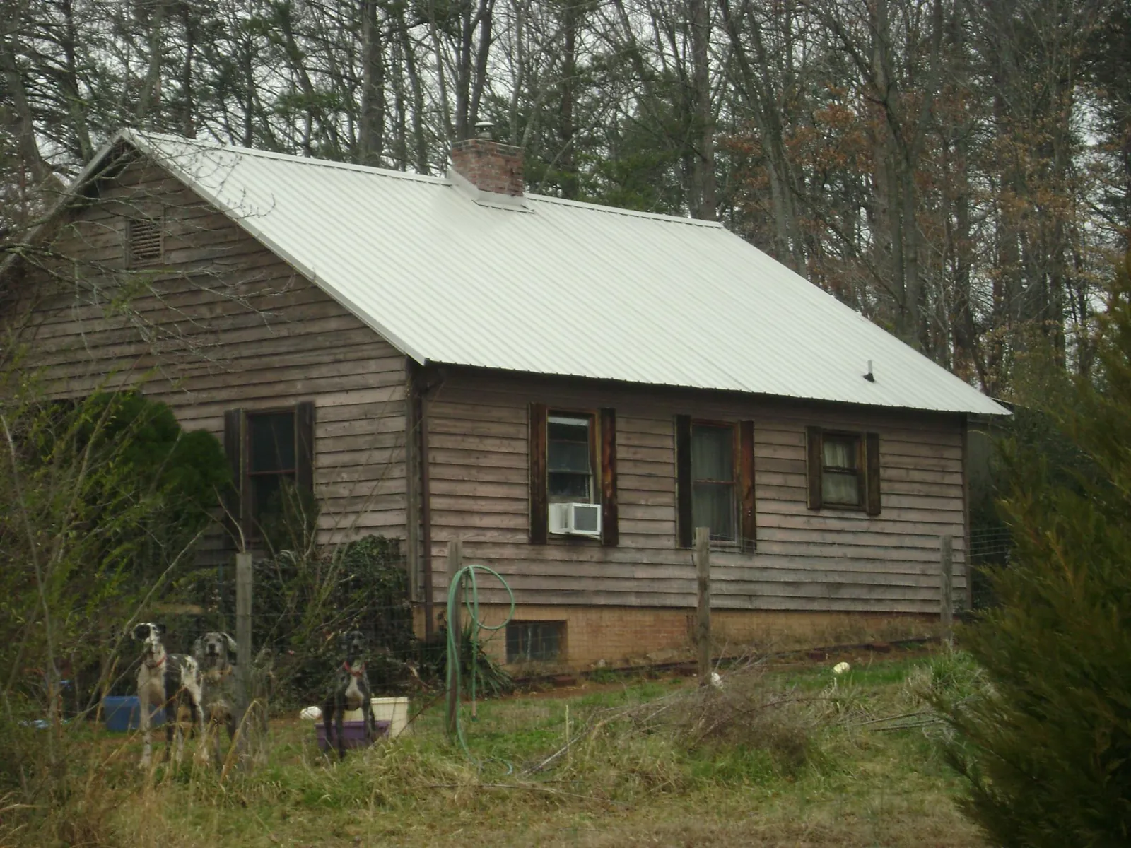 White metal roof on an old wood sided farmhouse, from a Asphalt Shingle Roof Repair job in Oldtown